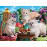 Kitten Tea Party