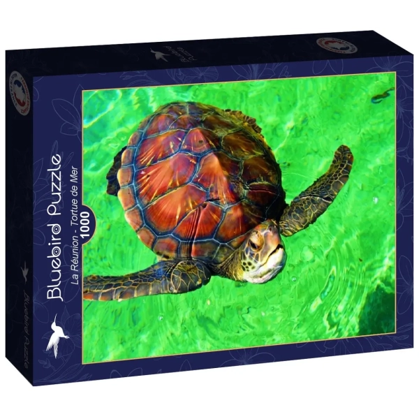 La Réunion - Tortue de Mer