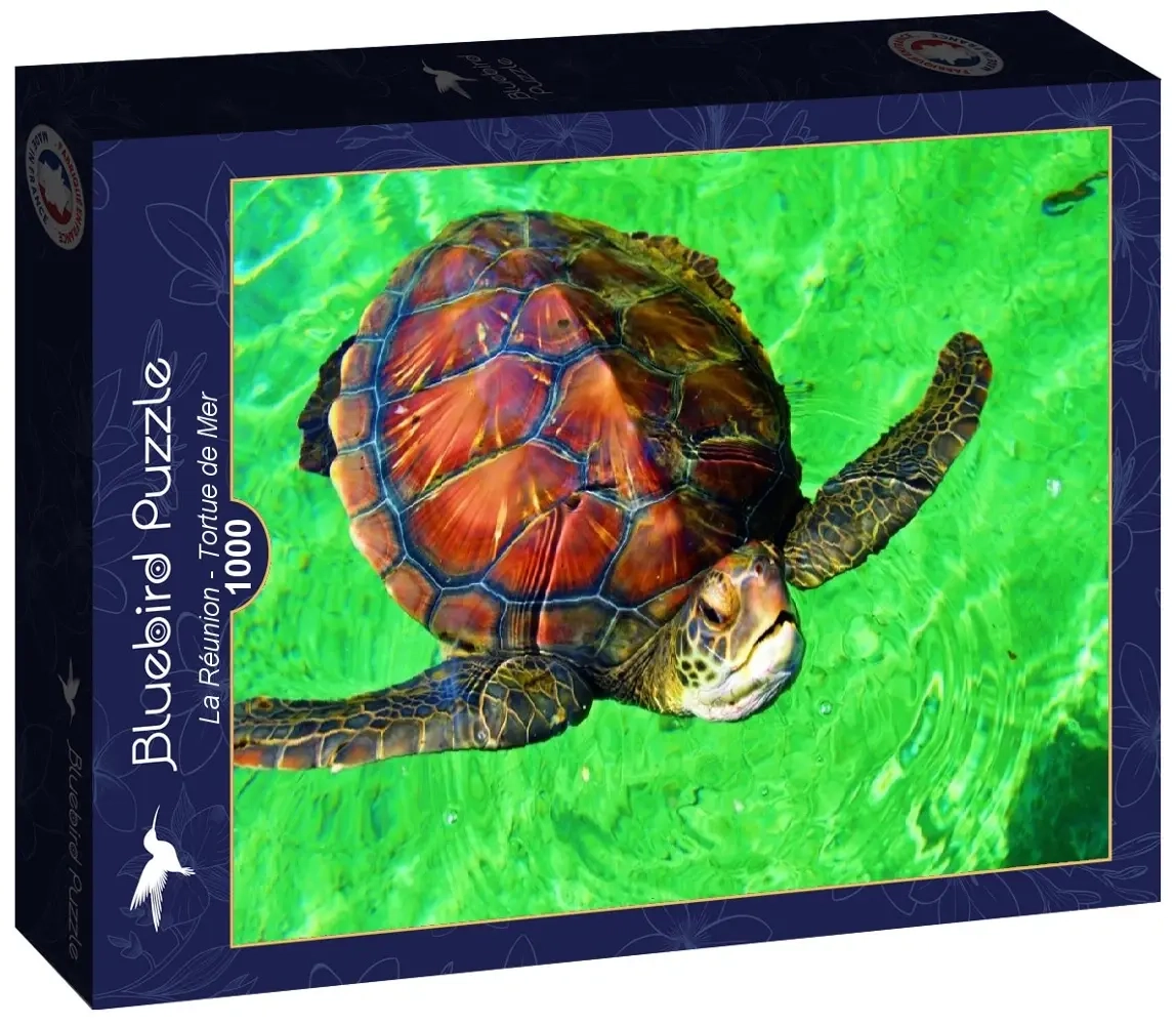 La Réunion - Tortue de Mer