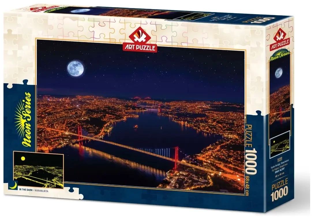 Neon Puzzle - Three Bridges, Bosphorus