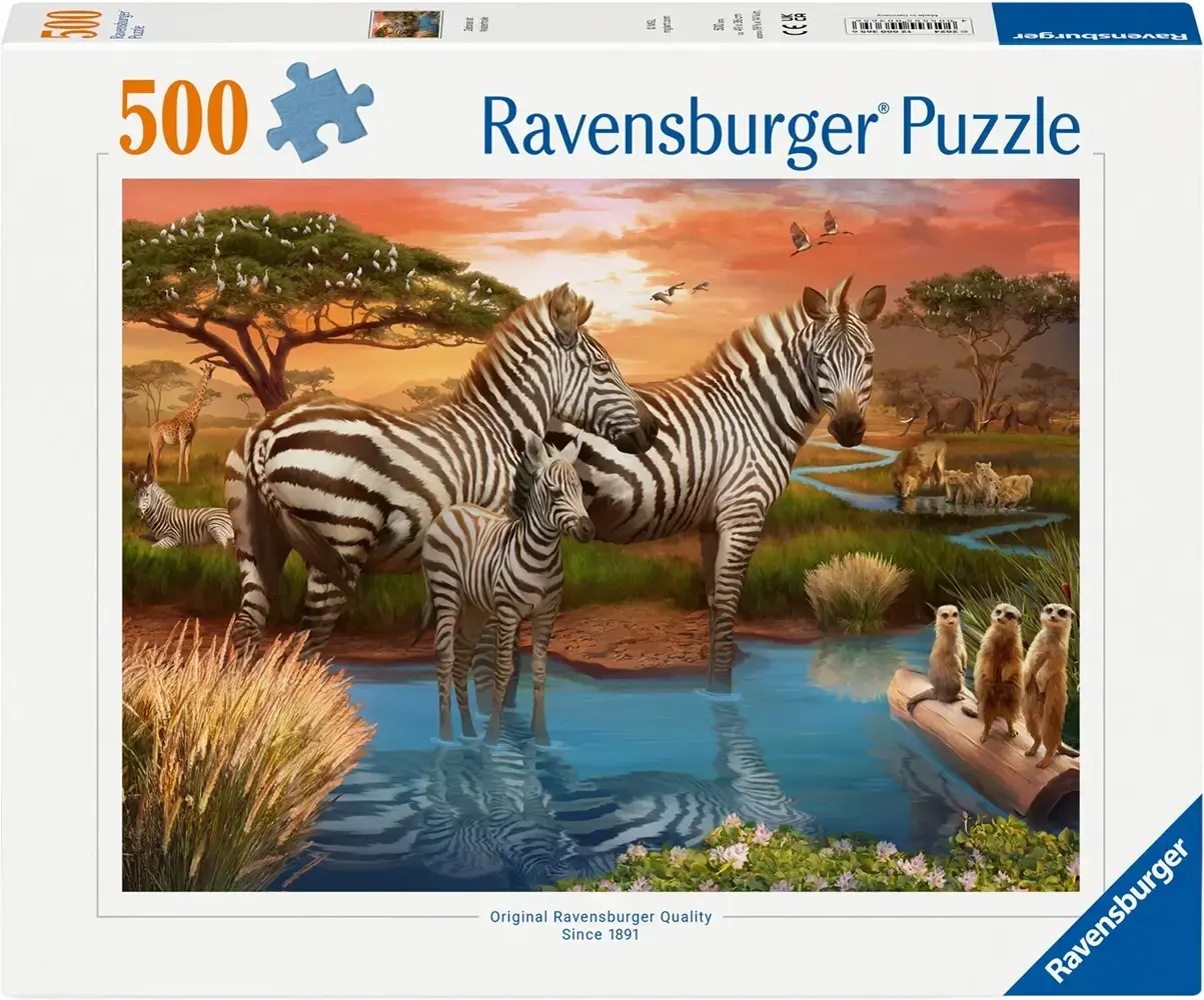 Zebras am Wasserloch