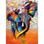 African Colours