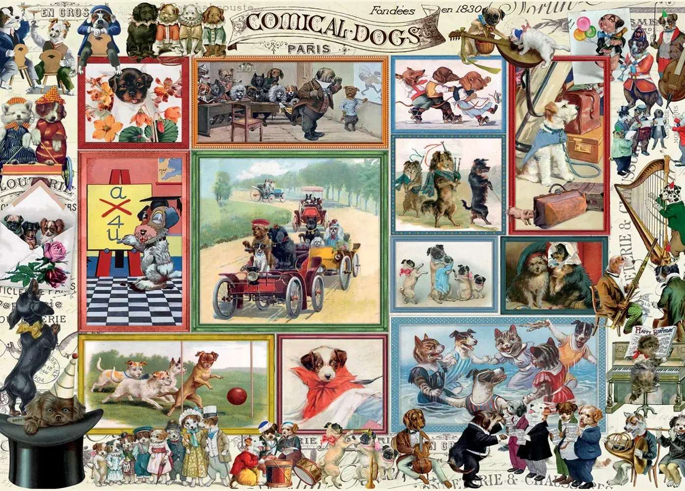 Cute Kittens & Comical Dogs - 2 Puzzles
