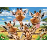 Giraffes' Selfie