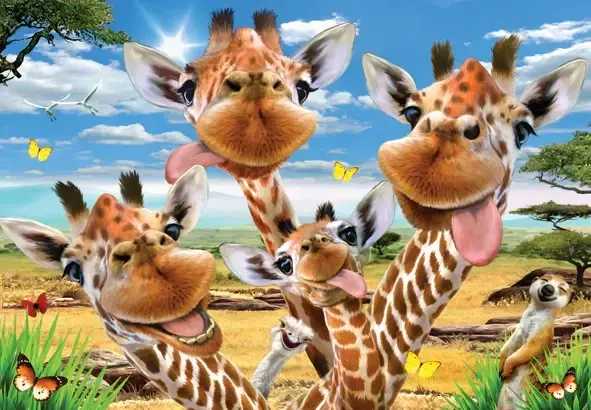 Giraffes' Selfie