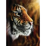 Wild Tiger