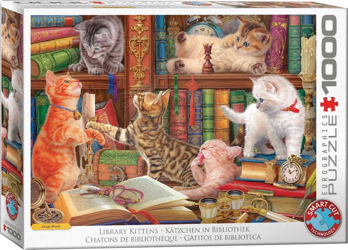 Kätzchen in der Bibliothek