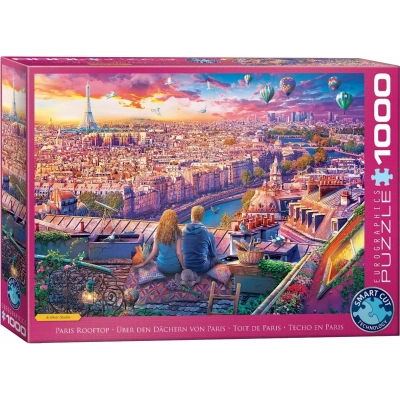 Über den Dächern von Paris