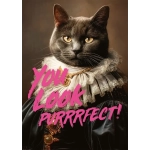 You Look Purrrfect!