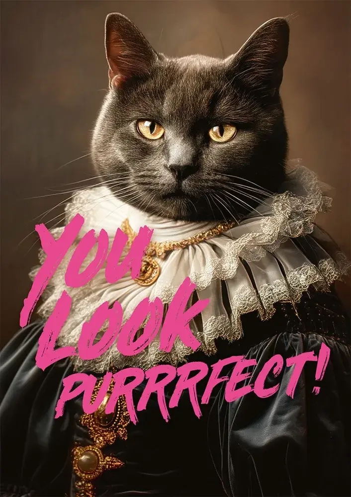 You Look Purrrfect!