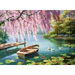 Willow Spring Beauty