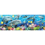 Undersea