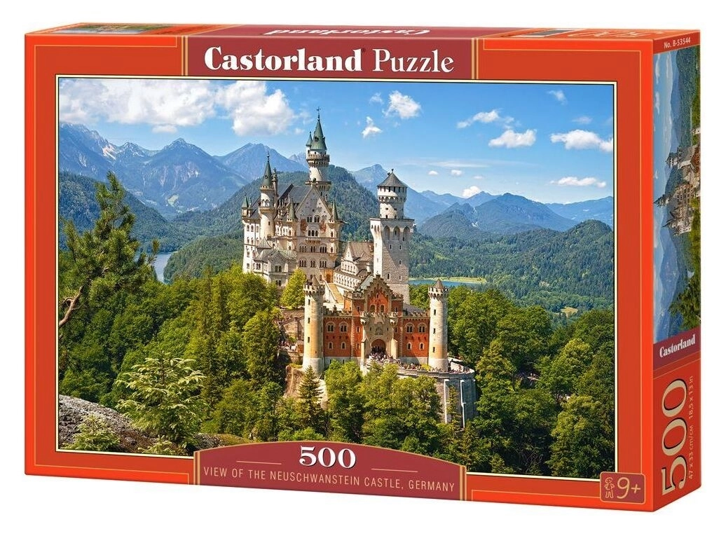 View of the Neuschwanstein Castle - Germany