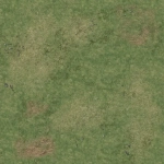 Grassy Fields - Spielmatte mit Raster (60x60cm)