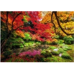Autumn Park