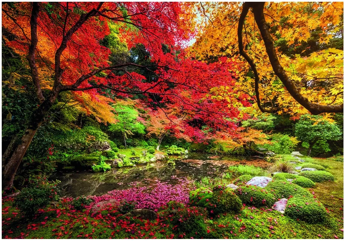 Autumn Park