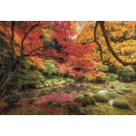 Autumn Park