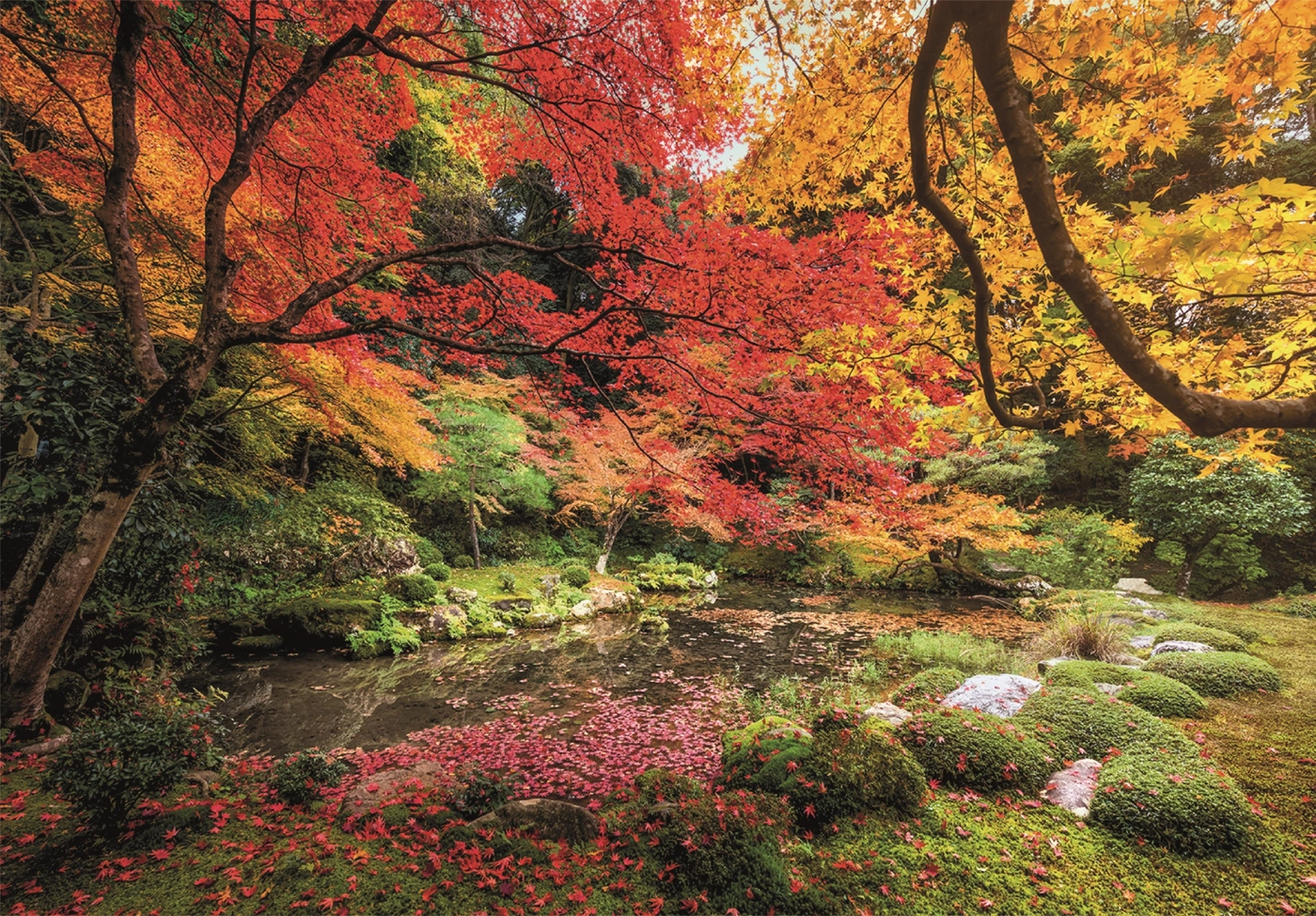 Autumn Park