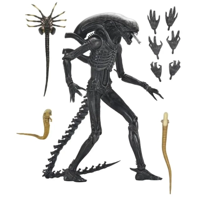 Alien: Romulus- 7