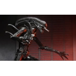 Alien: Romulus- 7" Scale Action Figure - Ultimate Xenomorph XX121