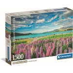 Lupinen am Tekapo-See