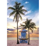 Miami Beach
