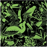 Birds Illuminated - Glow in the Dark