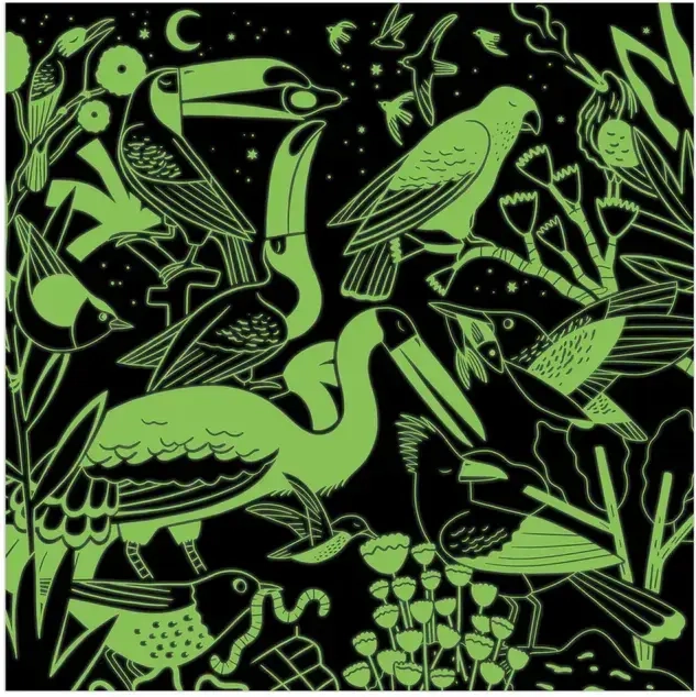 Birds Illuminated - Glow in the Dark