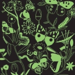 Butterflies Illuminated - Glow in the Dark