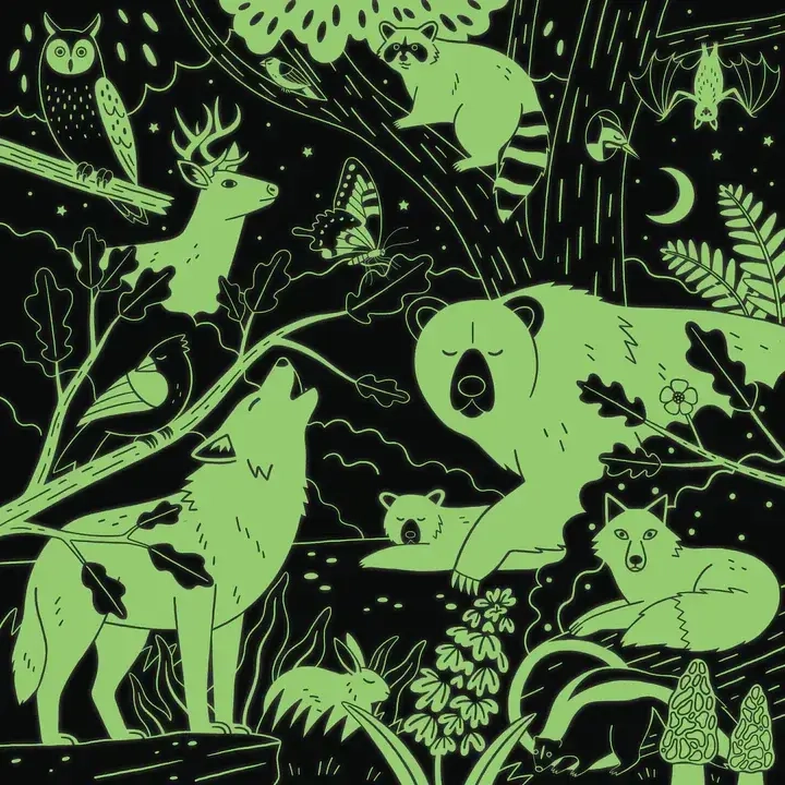 Forest Illuminated - Glow in the Dark