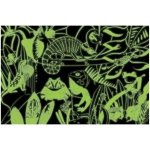 Frogs Lizards - Glow in the Dark