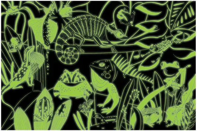 Frogs Lizards - Glow in the Dark