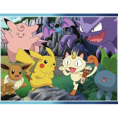 Fang die Pokémon!