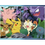 Fang die Pokémon!