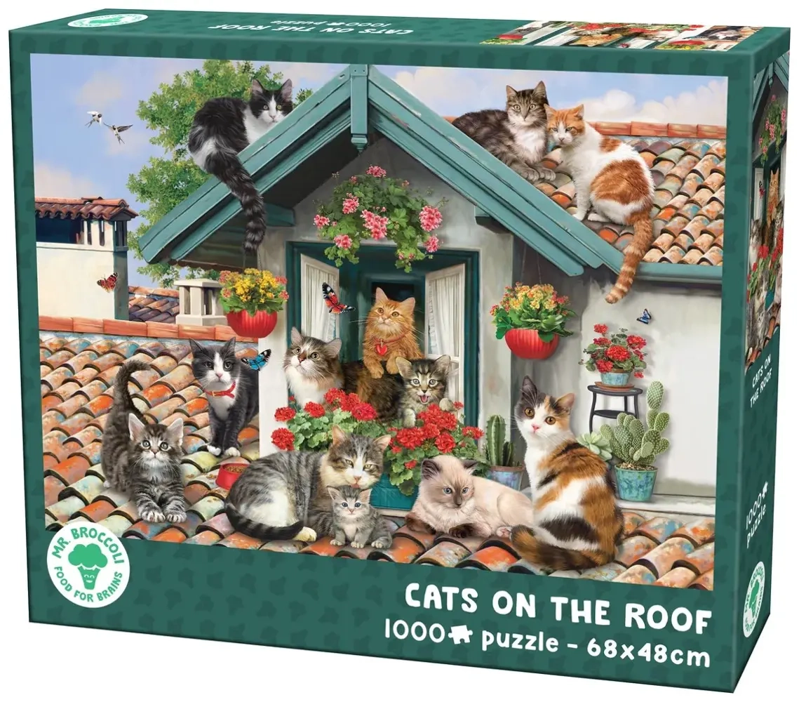 Katzen auf dem Dach
