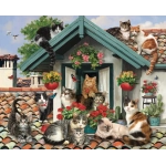 Katzen auf dem Dach