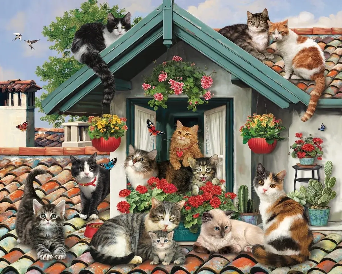 Katzen auf dem Dach