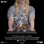 Luke and Leia Star Wars Deluxe Art Scale 1/10