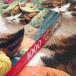 Niedliche Katze mit Wollknäuel