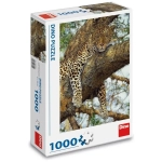 Leopard auf dem Baum