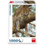 Leopard auf dem Baum