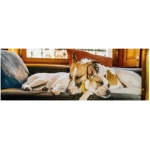 Gump II - Panorama Puzzle