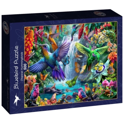 Tropical Hummingbirds