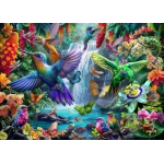 Tropical Hummingbirds