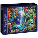 Tropical Hummingbirds