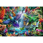 Tropical Hummingbirds