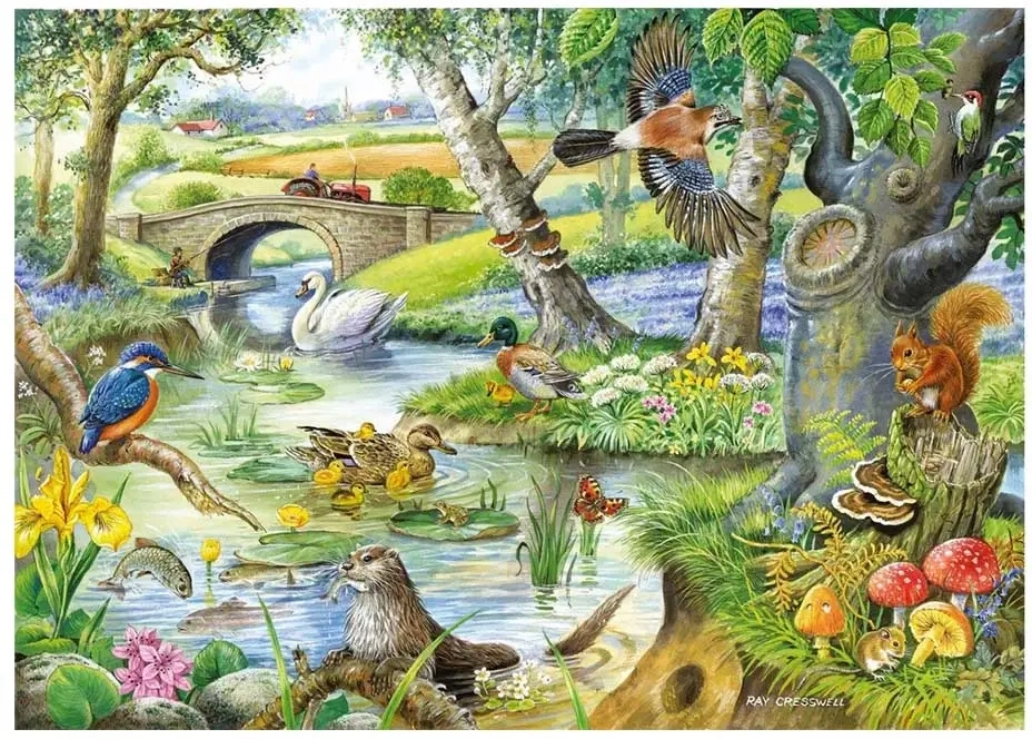 Geschichten Vom Fluss