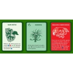 Evolution Random Mutations - Expansion - EN