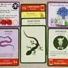 Evolution Herbs and Mushrooms - Expansion - EN
