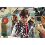 Wizarding World Harry Potter